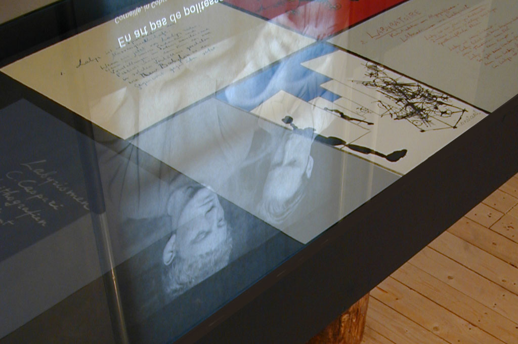 CoBrA de kleur van vrijheid, 2003, in het Stedelijk Museum Schiedam