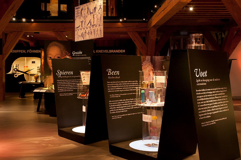 Het thema spieren been en voet.